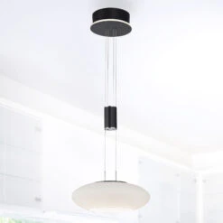 Paul Neuhaus Q-ETIENNE LED-Hängelampe 1fl, Schwarz
