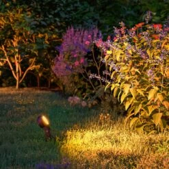 Paulmann Plug & Shine Sting Spot 2200K 3x Basisset -Philips Store 10008746 3