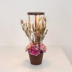 Zafferano Poldina Reverso Akku-Tischlampe Corten 10 Zafferano Poldina Reverso Akku-Tischlampe Corten -Philips Store 10016405 3