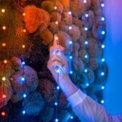 Twinkly Candies Perlen Bluetooth WLAN RGB Grün 12m -Philips Store 10018777 3