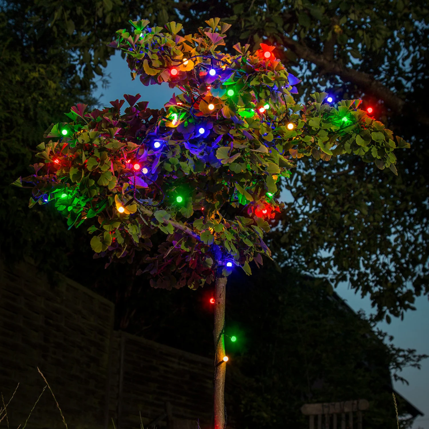 LED-Lichterkette 80-flammig Für Außen, Bunt 6 LED-Lichterkette 80-flammig Für Außen, Bunt – Bild 4