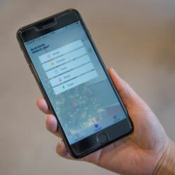 App-gesteuerter LED-Baummantel Innen 240fl -Philips Store 5524824 2