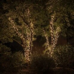 Lichterkette Twinkly RGBW, 250-fl. 20m Transparent