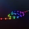 Twinkly Dots LED-Kette RGB, Schwarz, IP20, 3m -Philips Store 6102049
