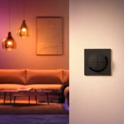 Philips Hue Tap Dial Schalter, Schwarz -Philips Store 7534354 3
