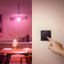 Philips Hue Tap Dial Schalter, Schwarz -Philips Store 7534354 4