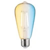 Paulmann LED-Rustikalampe E27 7W ZigBee, CCT -Philips Store 7601831