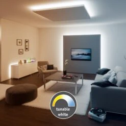 Paulmann MaxLED 500 Strip IP20 Tunable White 1m -Philips Store 7602998 3