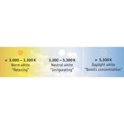 Paulmann MaxLED 500 Strip IP20 Tunable White 1m -Philips Store 7602998 4