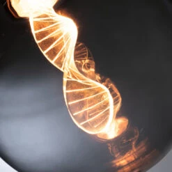 Paulmann LED-Lampe E27 3,5W Helix 1800K G125 Rauch -Philips Store 7603033 2