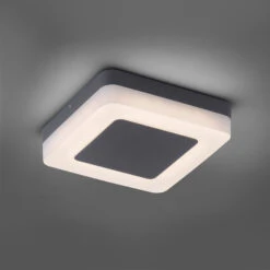 Paul Neuhaus Fabian LED-Deckenleuchte IP54 Eckig -Philips Store 7610967 4