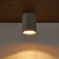 Lucande Außen-Deckenstrahler Minna, Silbergrau -Philips Store 9618024 1