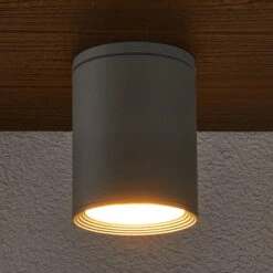 Lucande Außen-Deckenstrahler Minna, Silbergrau -Philips Store 9618024 2