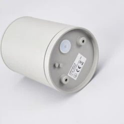 Lucande Außen-Deckenstrahler Minna, Silbergrau -Philips Store 9618024 7